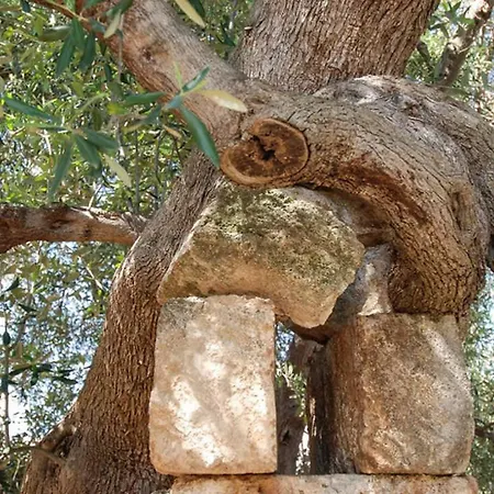 Villa Masseria Terramare *